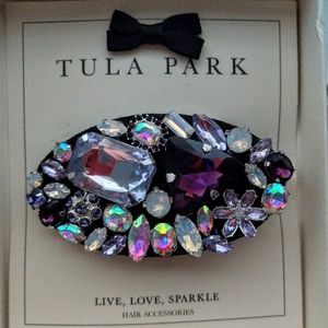 Beautiful Hair Clip